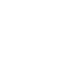 duplicate